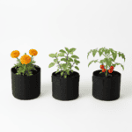 Little Grower's DIY Garden Kit for Kids – Grow, Learn & Play! 🌱Kids Gardening Educational Kit Gift Box | Grow Your Own Flowers-Veg-Herb Plant | Includes 1 Pots,3 Coco Coin Soil and 3 Flower Seed Varieties, 3 Growing Bag,3 Marker | Gift Purpose Also - Image 2