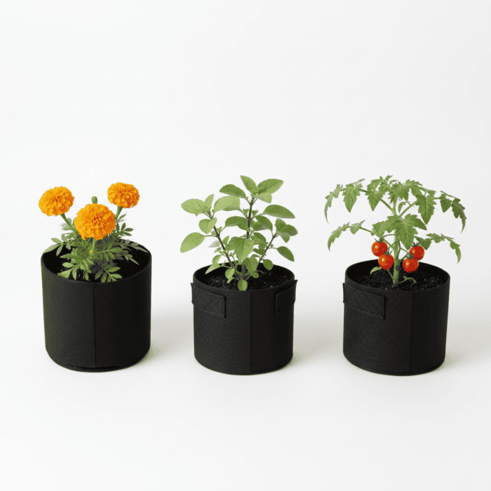 Little Grower's DIY Garden Kit for Kids – Grow, Learn & Play! 🌱Kids Gardening Educational Kit Gift Box | Grow Your Own Flowers-Veg-Herb Plant | Includes 1 Pots,3 Coco Coin Soil and 3 Flower Seed Varieties, 3 Growing Bag,3 Marker | Gift Purpose Also - Image 2
