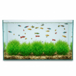 Aquarium Fish Tank Decorations – 6PCS Small Green Grass Artificial Plastic Plants Ornaments