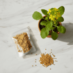 Organic Mustard Cake Fertilizer for Plants (50g) - Image 2