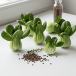 Pak Choy Seeds | Summer Festival Hybrid | पाक चोय के बीज | Imported Vegetable Seeds - Image 2