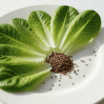Lettuce Salad Seeds | लेट्यूस के बीज | Grow Vitamin-Rich Salad at Home | Vegetable Seeds - Image 2