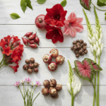 Summer Flower Bulbs Combo | 5 Variety | Football Lily, Amar Lily, Rain Lily, Caladium & Tuberose (2 Bulbs Each)