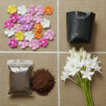 Easily Grown Flower Plant from Seeds/Bulb for Beginner Gardeners – Vinca & Tuberose Combo Kit (Includes Seeds, Bulbs, Grow Bags & Coco Soil) - Image 5
