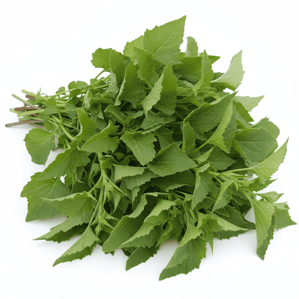 image_d2262528-5646-46c4-8cb6-c1a40b0eb15e.png Bathua Saag Seeds (बथुआ) | Desi Leafy Green | Best Quality | Home Garden Pack - Image 1