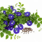 Aparajita Flower Seeds Pack – Butterfly Pea (Clitoria ternatea)