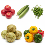 Vegetable Seeds Combo Pack (Set of 5 Packets) | Kachariya, Kakri, Pepper, Kachri Desi, Capsicum