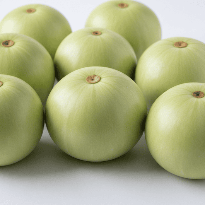 Round Bottle Gourd Seeds | Gol Ghiya | Best Quality Hybrid | Home Garden Pack - Image 2