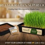 Ready To Grow Pack-Microgreen Seeds Starter Kit- Wheat Grass Seeds