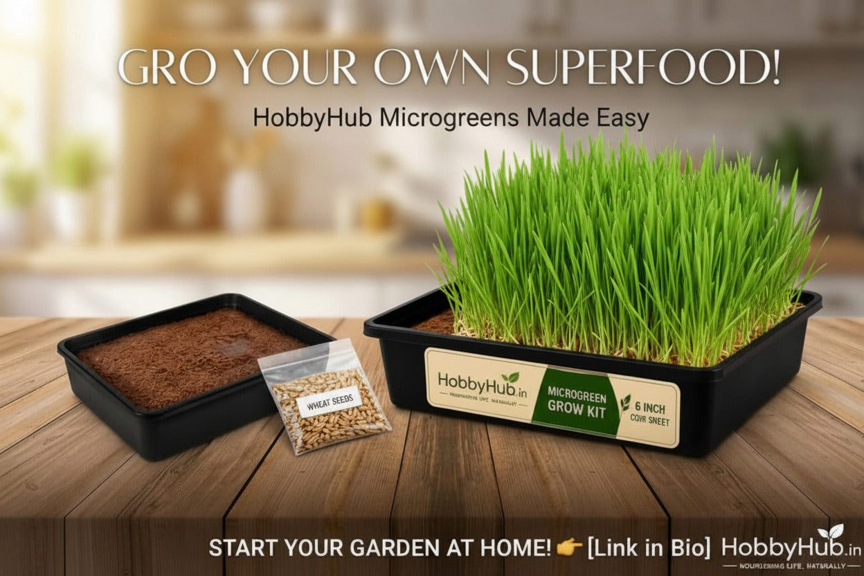 microw3.jpg Ready To Grow Pack-Microgreen Seeds Starter Kit- Wheat Grass Seeds - Image 1