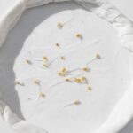 Organic cherry tomato seeds for planting in a home vegetable garden.