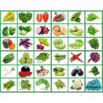 Indian Vegetable Seeds Combo Pack | 35+ Varieties | सब्जियों के बीज | Non-GMO | Fresh Harvested