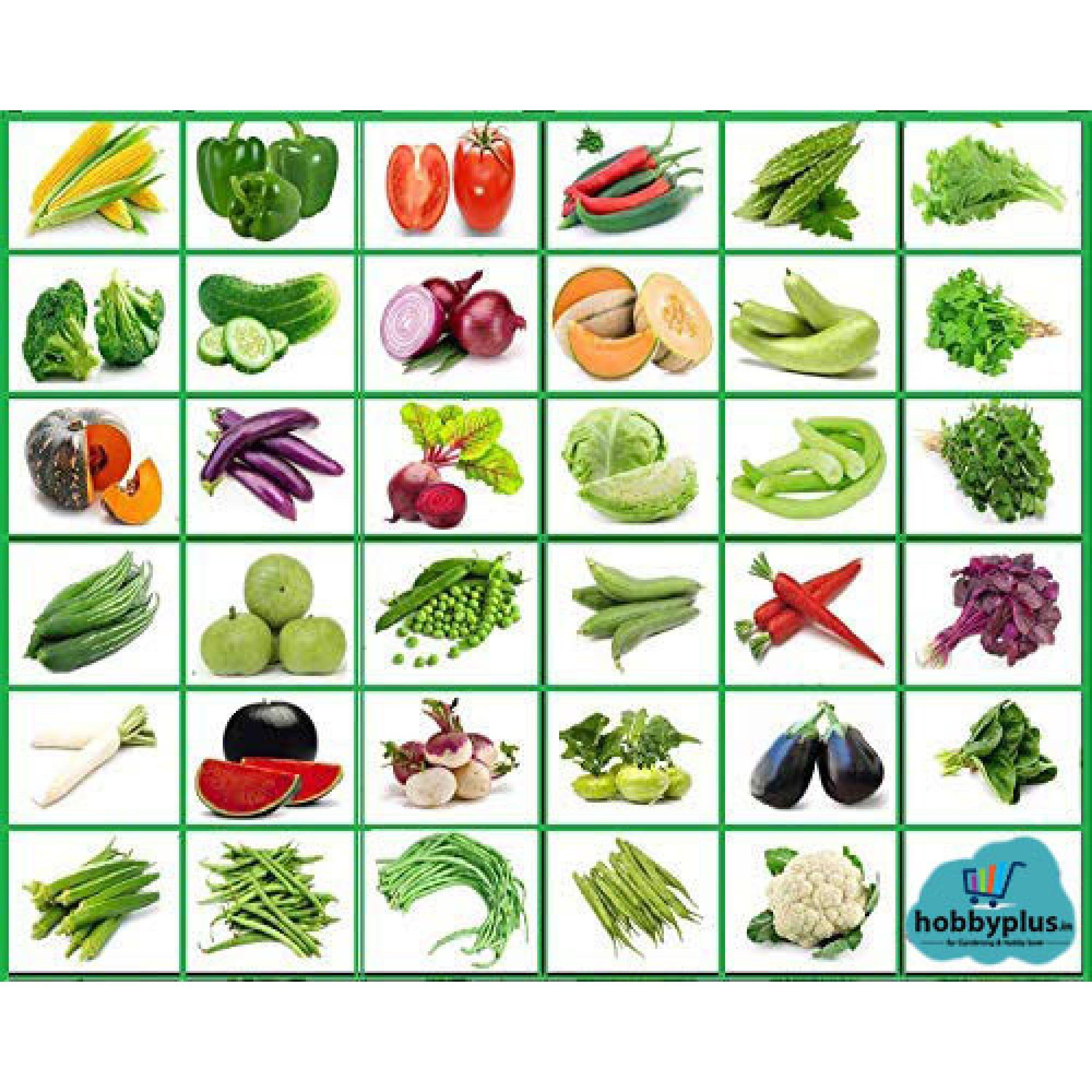 veg-35-2000x2000w.jpg Indian Vegetable Seeds Combo Pack | 35+ Varieties | सब्जियों के बीज | Non-GMO | Fresh Harvested - Image 1