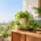 Home garden seedlings beside a planted aquarium and home decor